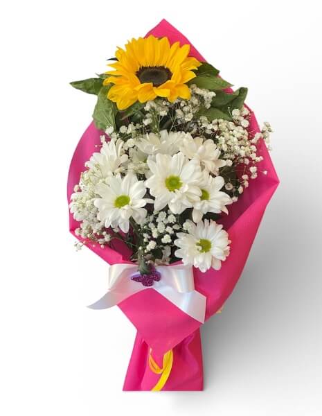 Il Girasole