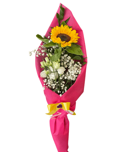 Il Girasole